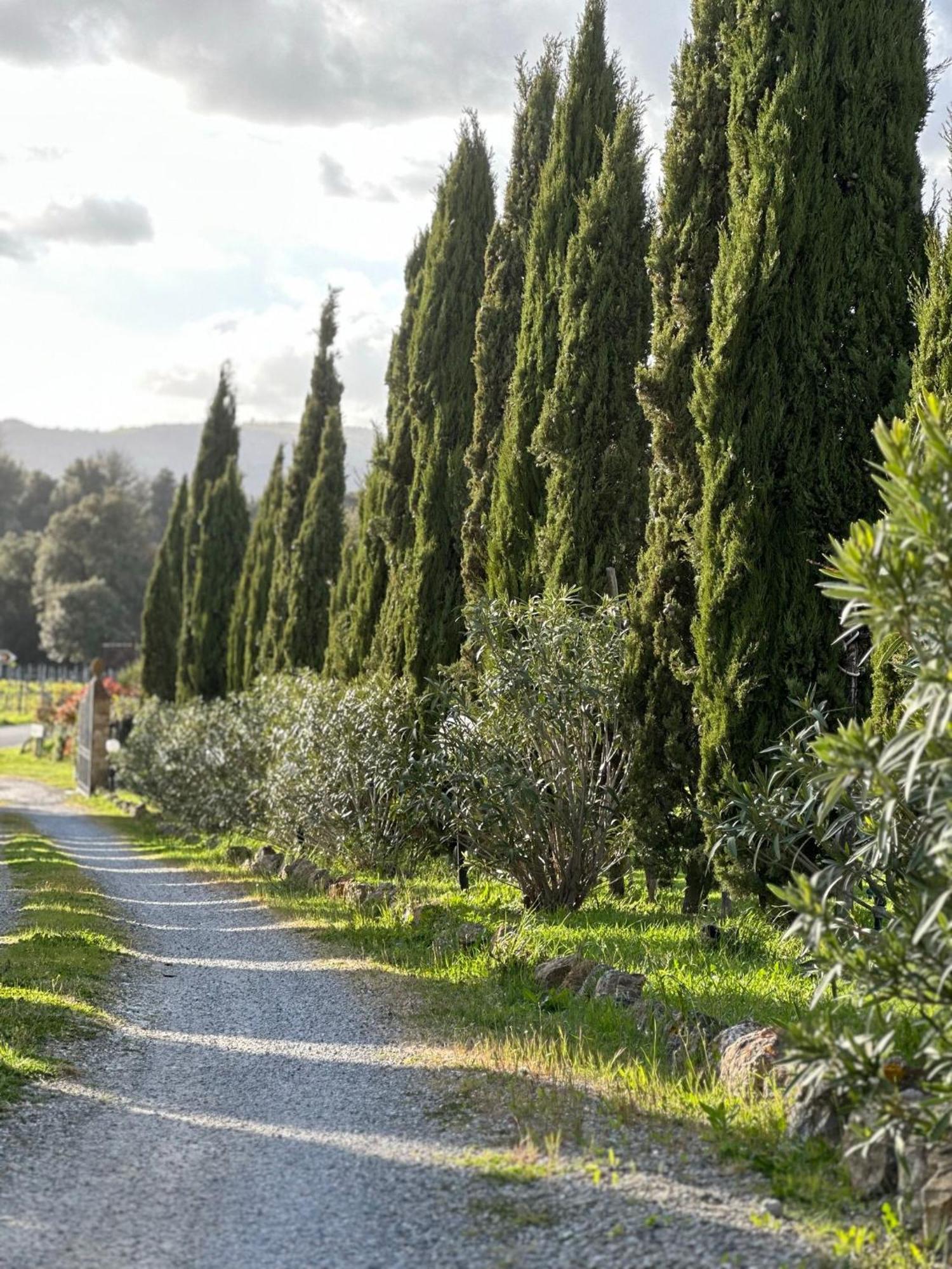 Antico Borgo Il Cardino Panzió San Gimignano Kültér fotó